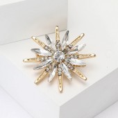 XZ81117360794990 Fashionable and exquisite alloy rhinestone octagonal star brooch with versatile temperament, suitable for women's suits, dresses, chest flower accessories, brooch XZ81117360794990 Fashionable and exquisite alloy rhinestone octagonal star brooch with versatile temperament, suitable for women's suits, dresses, chest flower accessories, brooch