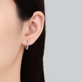 ES9913 S925 sterling silver inlaid 38.4-point moissanite earrings ES9913 S925 sterling silver inlaid 38.4-point moissanite earrings