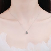 NL9910-1 925 silver Necklace, one piece of moissanite women's Necklace