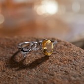 NL9949-1 S925 pure silver electroplated 18K gold inlaid Citrine rings NL9949-1 S925 pure silver electroplated 18K gold inlaid Citrine rings